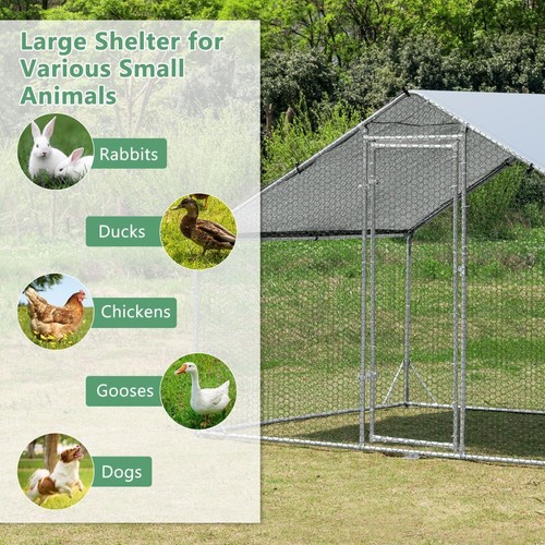 3x2m spire shaped chicken - 3x2m, spire-shaped