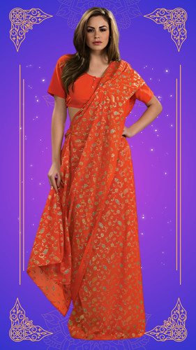 Orange sari costume - costume,