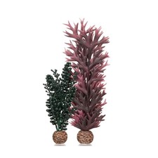 OASE BIORB SEAPEARLS AND KELP