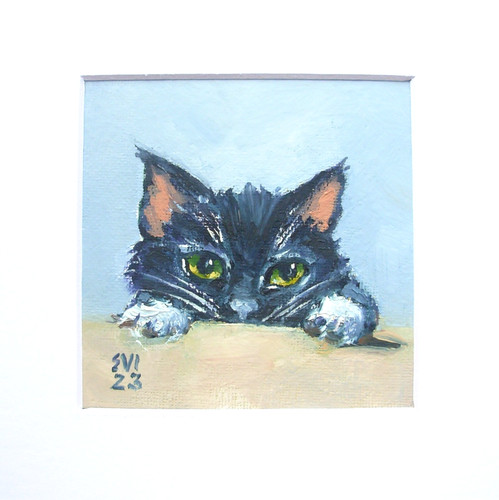 Black cat with - cat,
