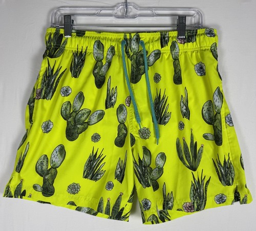 Jake austin swim trunks - trunks, mens
