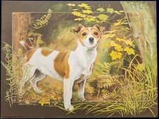 Jack Russell Terrier  pollyanna pickering print pedigree dog collectable