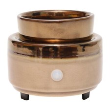 Electric Scented Wax Melt