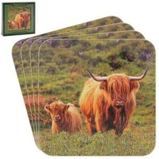 Country Highland Cow & Calf