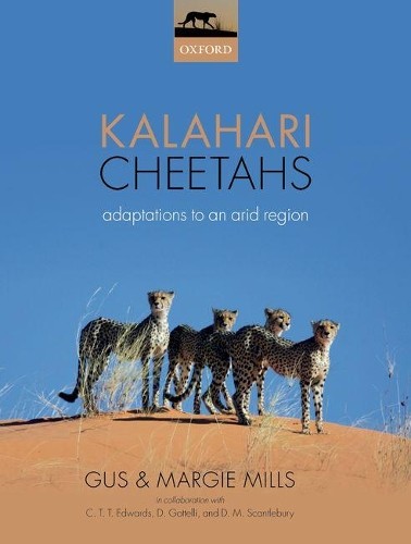 Kalahari cheetahs gus - cheetahs, by