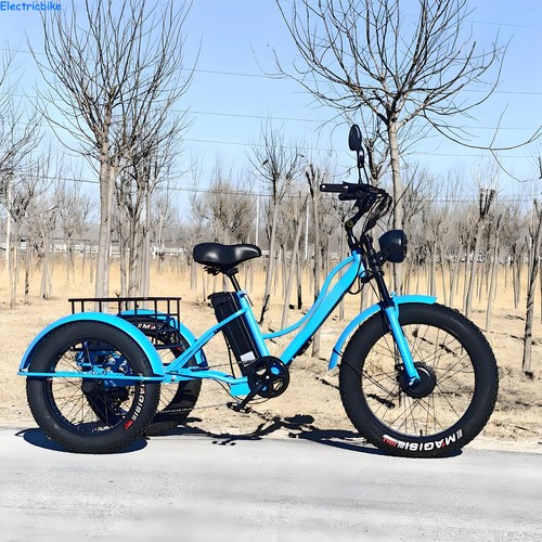 Inch electric tricycle 48v - tricycle,