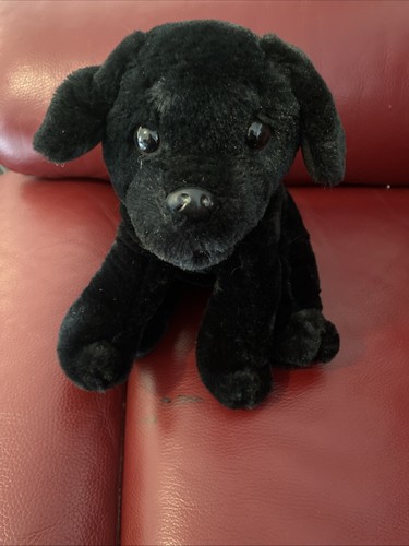 Royal canin plush - plush, sitting