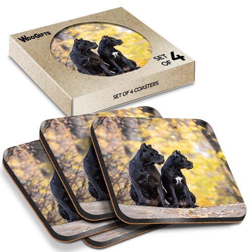 Square mdf coaster cane - square,