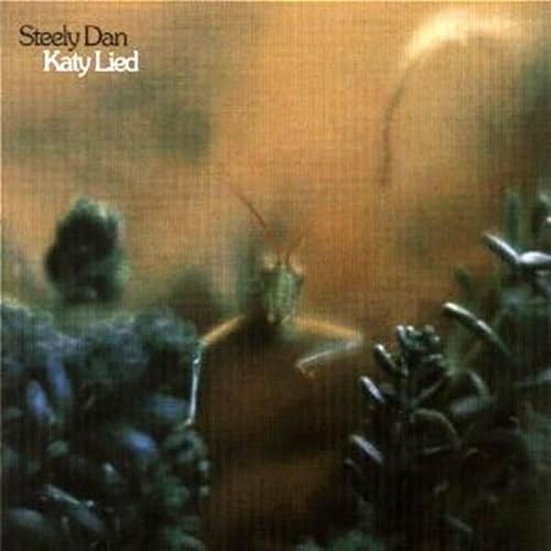 Steely dan katy lied - steely,