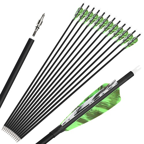 31 archery carbon - 31",