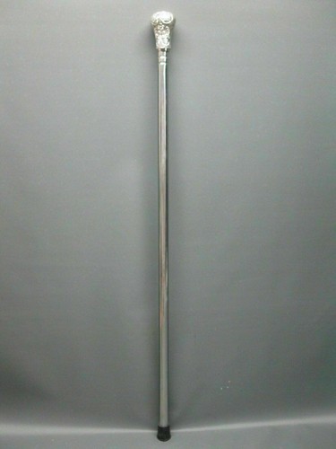 Stainless steel walking - , hiking