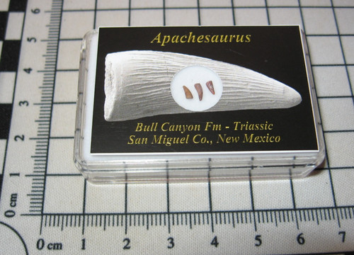 Triassic bull canyon - bull,