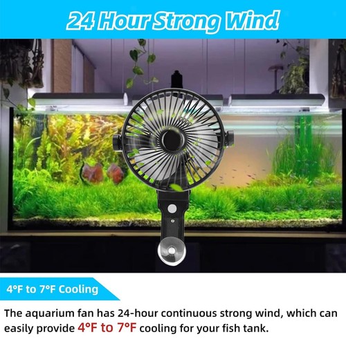 Aquarium chiller quiet with - aquarium,