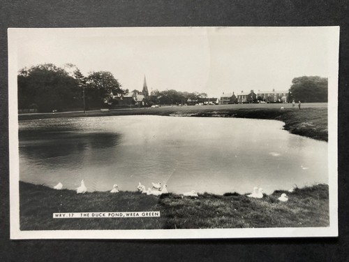 The duck pond wrea green - the,