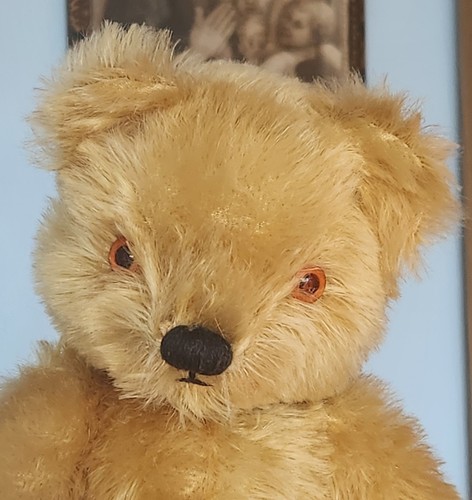 Gorgeous vintage chad - 11",