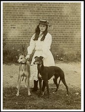 GREYHOUND GIRL AND TWO DOGS