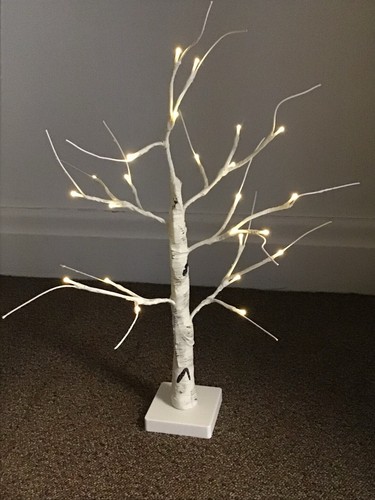 Led warm white birch - 24,