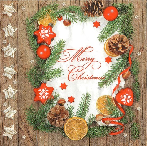 Single paper napkins - 4,