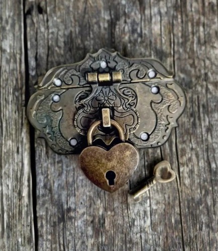 Vintage bronze door lock set