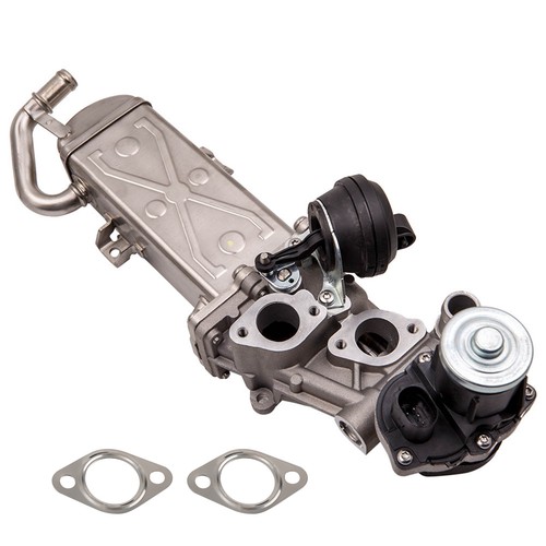 Egr valve cooler - &, vw