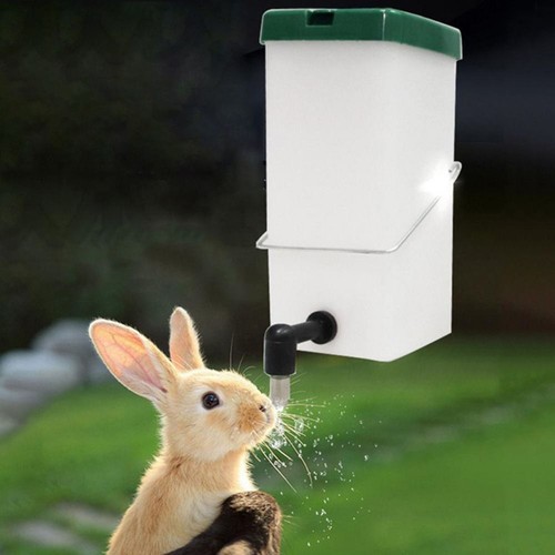 Automatic pet drinking - pet,