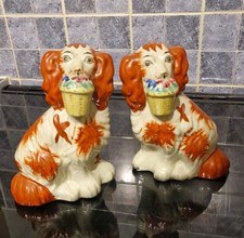 Mantle spaniel dogs - spaniel,