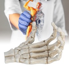 Halloween Skeleton Hands High