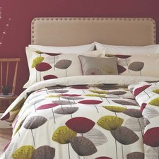 Sanderson king dandelion - king,