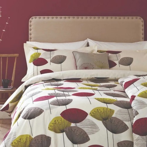 Sanderson king dandelion - king,