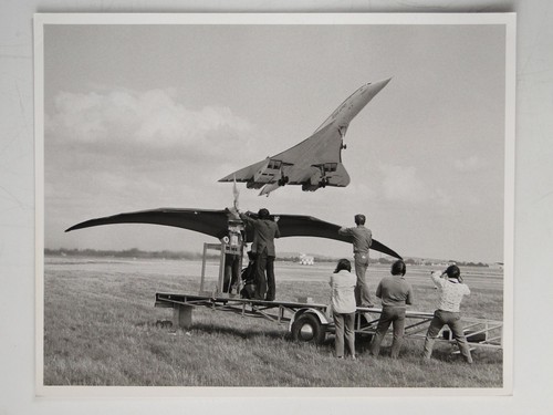 Concorde pteranodon model - concorde,