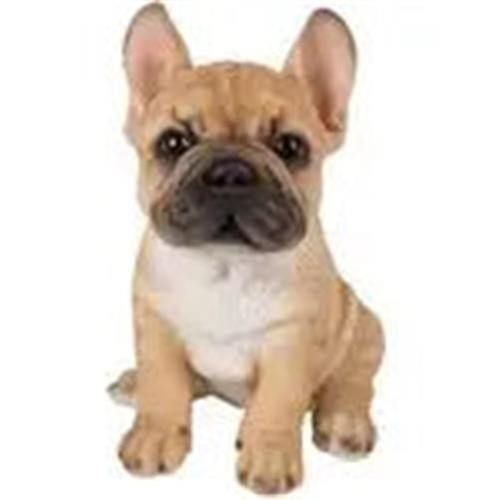 Vivid arts pet pal french - pal,