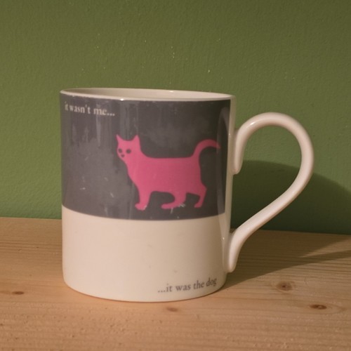 Cat wasnt it was - cat,