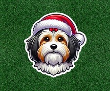 Christmas Havanese dog 100%