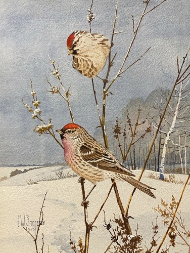 Vint orig bird art painting - orig,