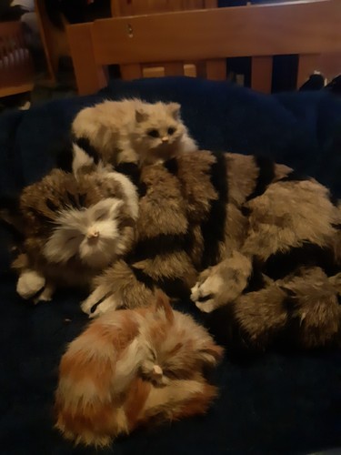 Vintage rabbit fur cats mother - fur,
