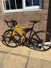 Carrera Men's TDF Pro Road