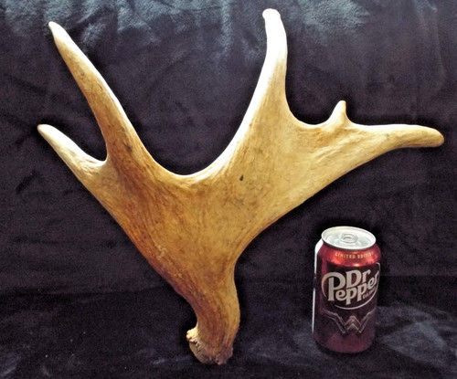 Beautiful large deer - beautiful,, 21"