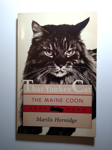That yankee cat the - yankee, maine