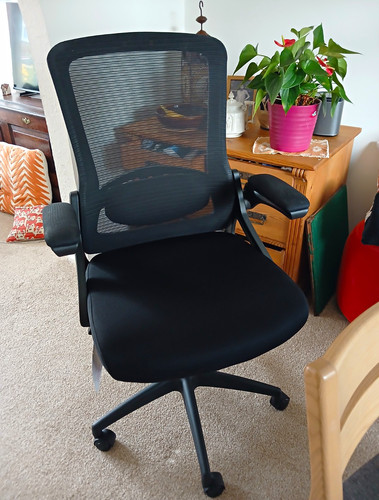 Black mesh back swivel - back, chair
