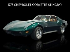 1973 Chevrolet Corvette Stingray in Green NEW METAL SIGN: 9x12 Ships Free