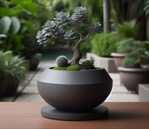 Modern bonsai planter pot - modern,