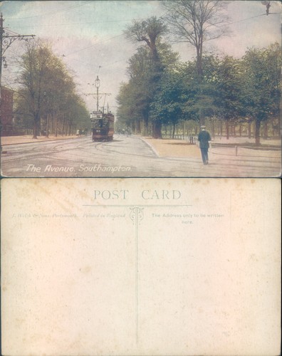Avenue with tram - , in