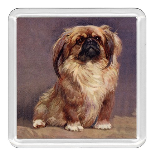 Pekingese dog acrylic coaster - pekingese,