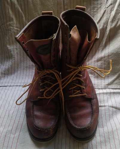 Vintage redwing irish setter - redwing,