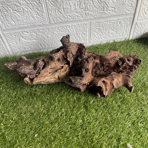 Aquarium bogwood natural - aquarium,
