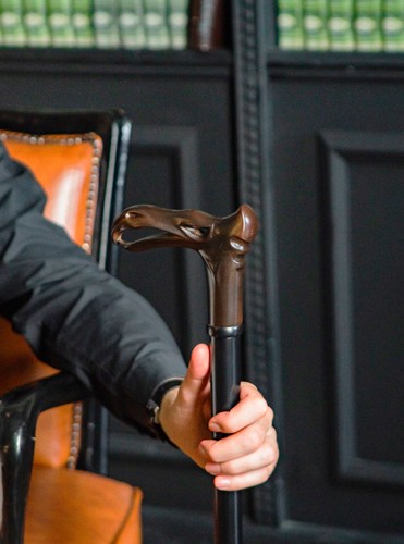 Fantasy costume cane wizard - fantasy,