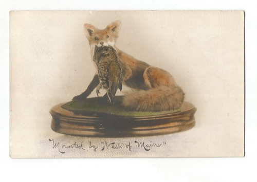 Rppc norway maine - rppc,