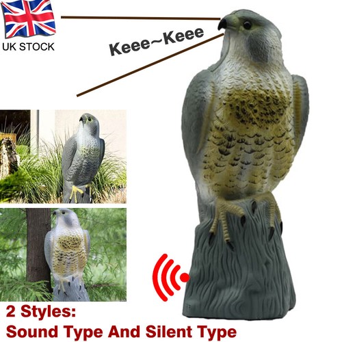 Large realistic garden hawk - garden,