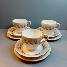 Paragon “Olympus” Fine