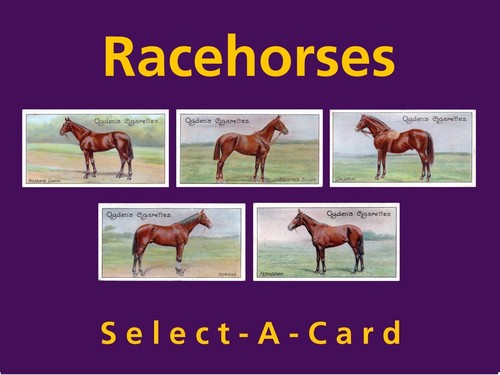 Ogden racehorses 1907 - ogden's,